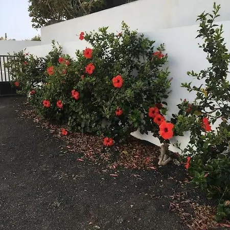 Hébergement de vacances Perle Des Meeres Charco del Palo